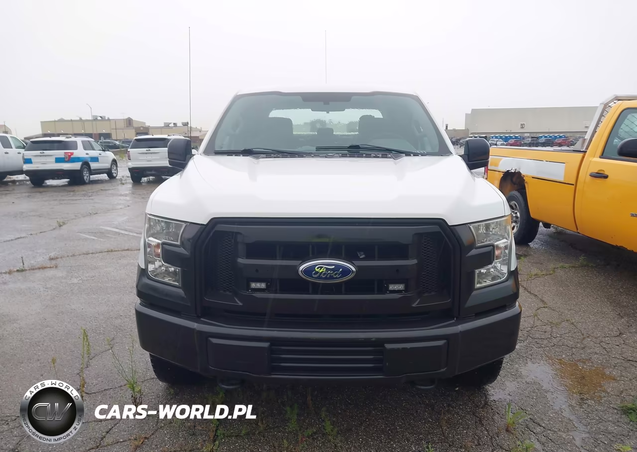 2016 Ford F-150 Xl VIN:1FTEW1E83GFB03171 - 12