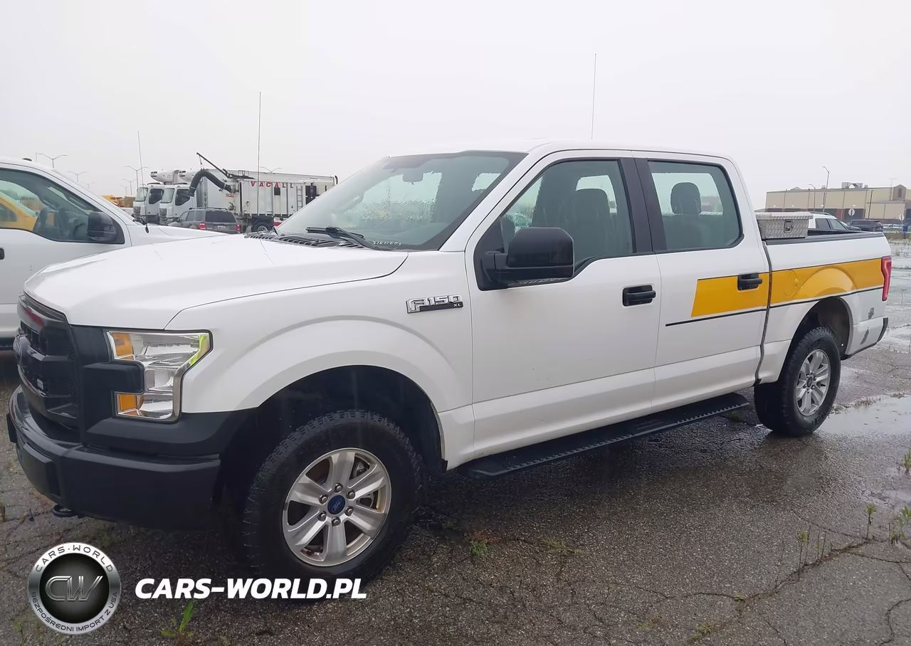 2016 Ford F-150 Xl VIN:1FTEW1E83GFB03171 - 14