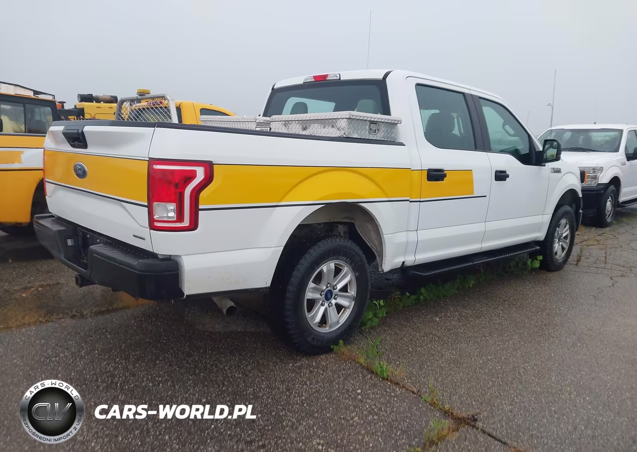 2016 Ford F-150 Xl VIN:1FTEW1E83GFB03171 - 4