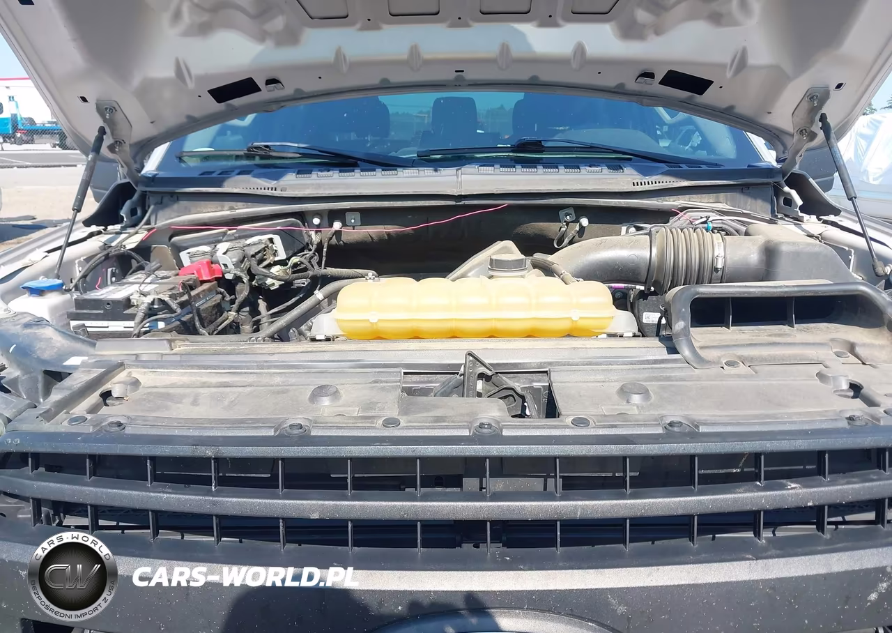 2019 Ford F-150 Xl VIN:1FTEW1E57KKF07726 - 10