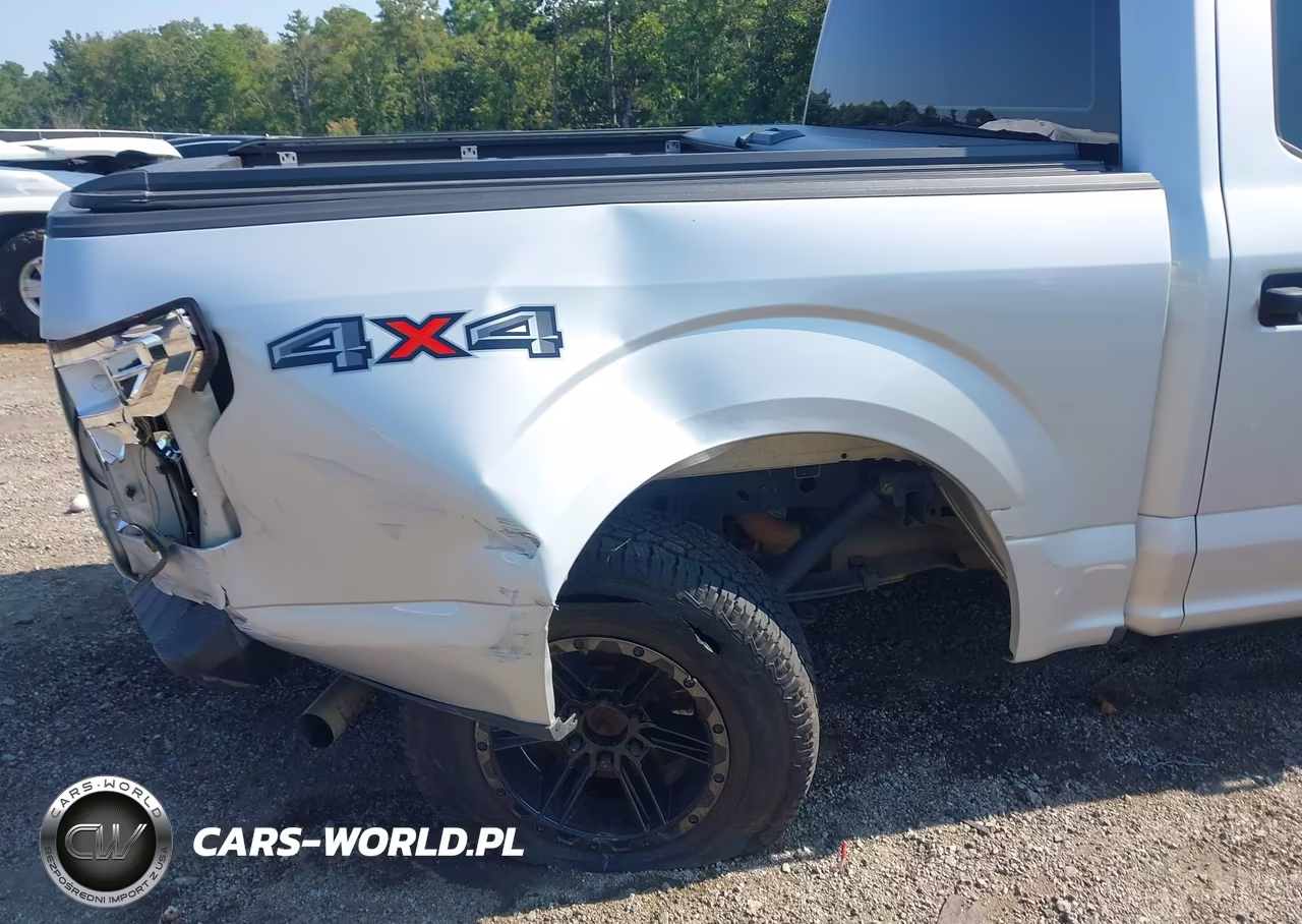 2019 Ford F-150 Xl VIN:1FTEW1E57KKF07726 - 6