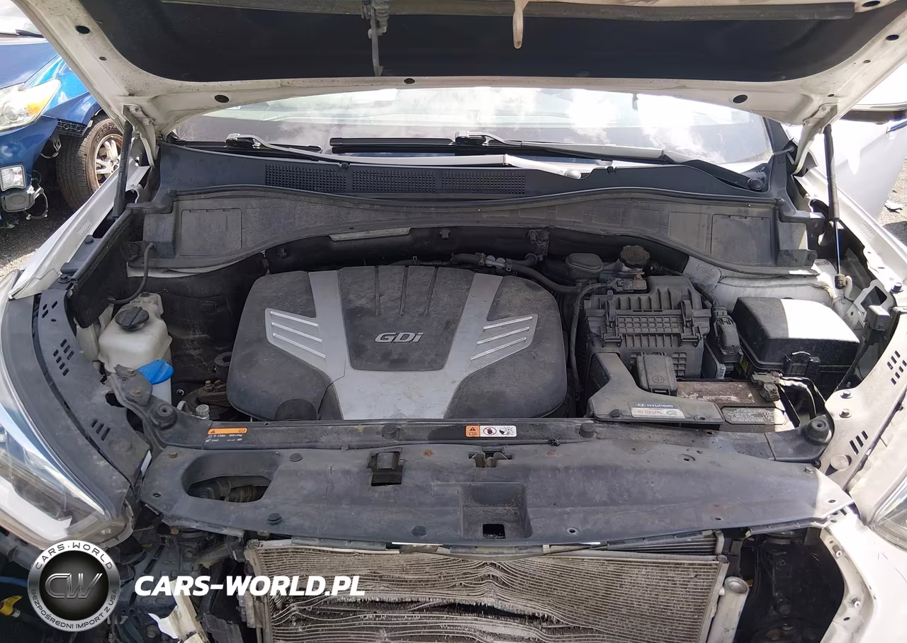 2017 Hyundai Santa Fe Se Ultimate VIN:KM8SRDHFXHU202486 - 10