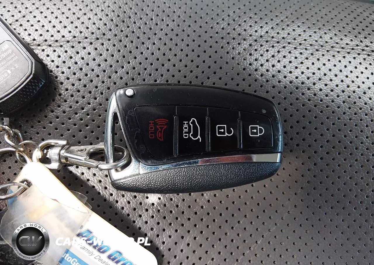 2017 Hyundai Santa Fe Se Ultimate VIN:KM8SRDHFXHU202486 - 11
