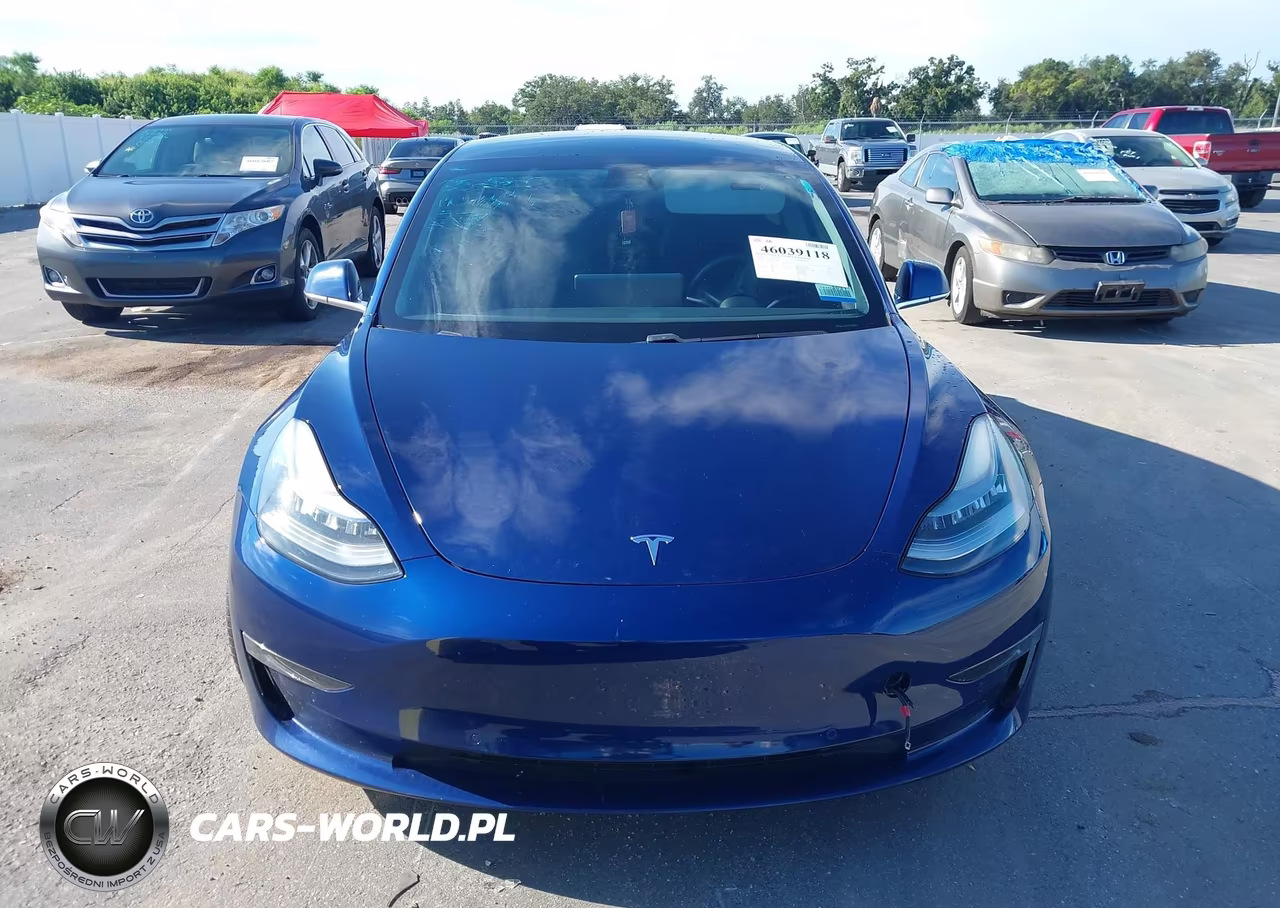2019 Tesla Model 3 Long Range-Mid Range-Standard Range-Standard Range Plus VIN:5YJ3E1EA9KF309265 - 12