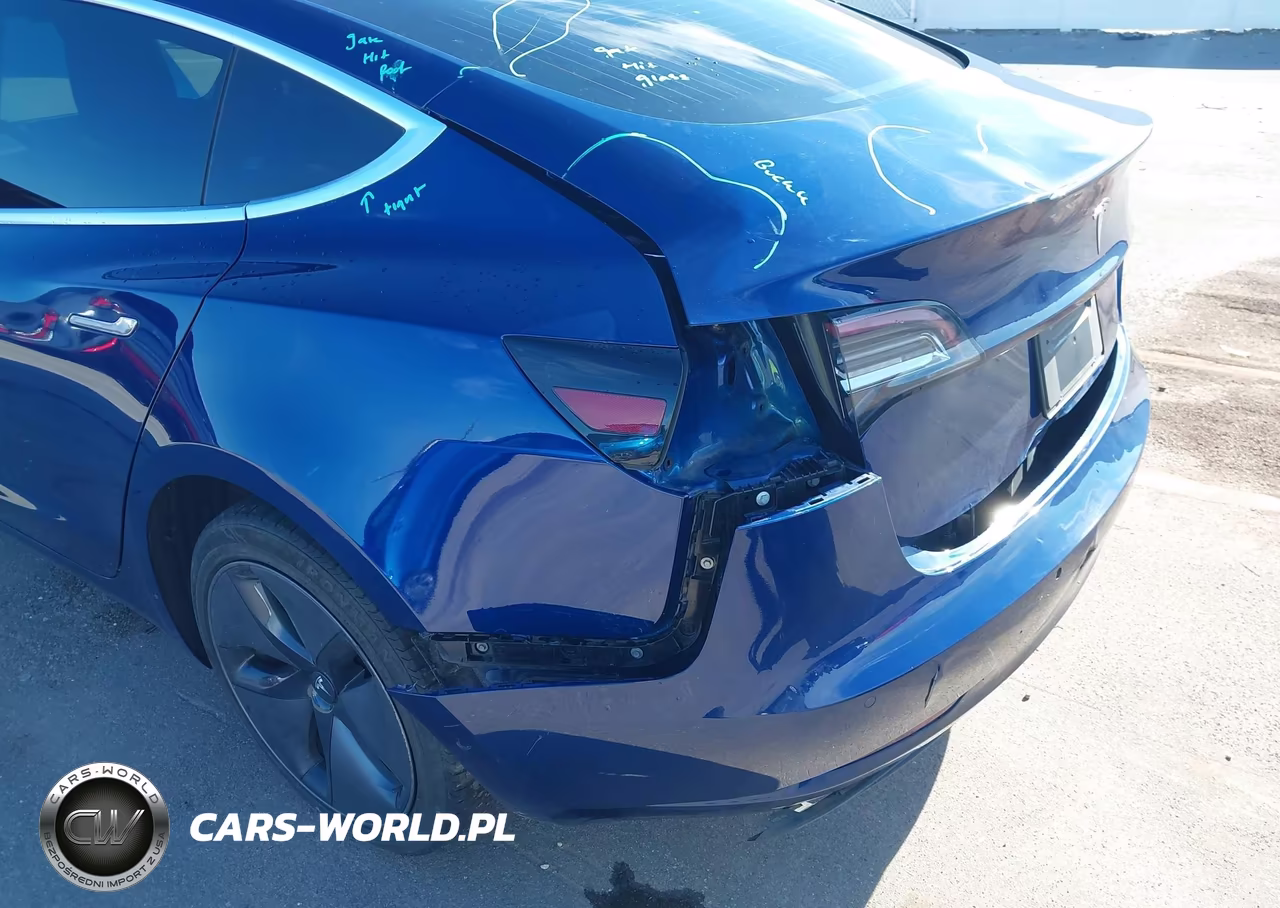 2019 Tesla Model 3 Long Range-Mid Range-Standard Range-Standard Range Plus VIN:5YJ3E1EA9KF309265 - 19