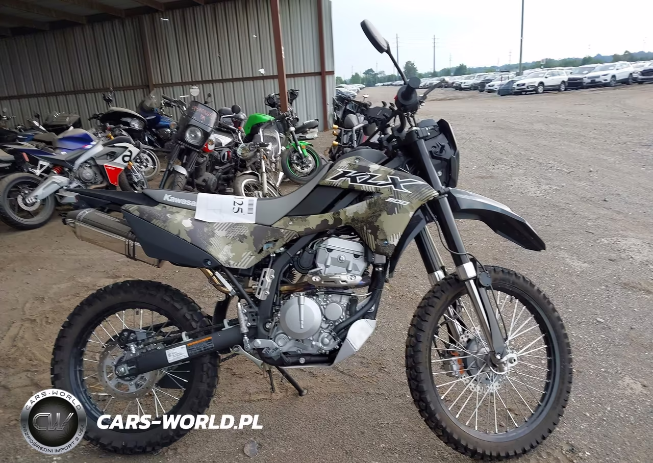 2026 Kawasaki Klx300 F VIN:ML5LXBF10TDA47348 - 12