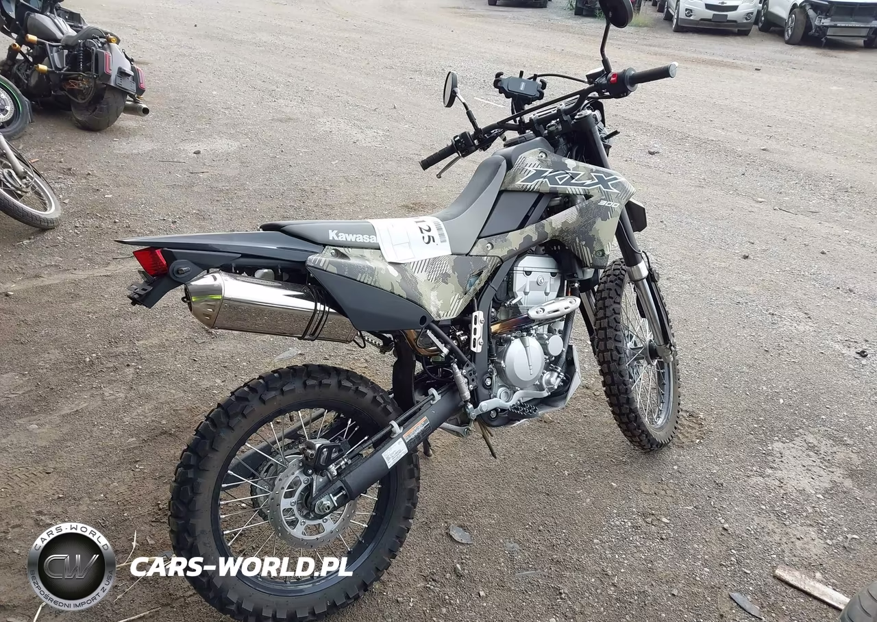2026 Kawasaki Klx300 F VIN:ML5LXBF10TDA47348 - 4