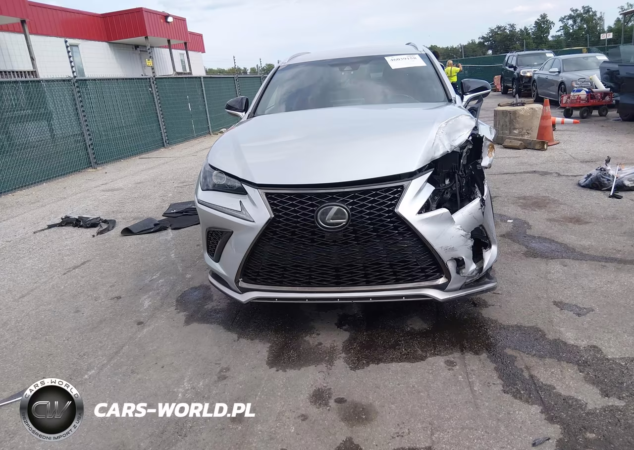 2019 Lexus Nx 300 F Sport VIN:JTJYARBZ3K2131363 - 13