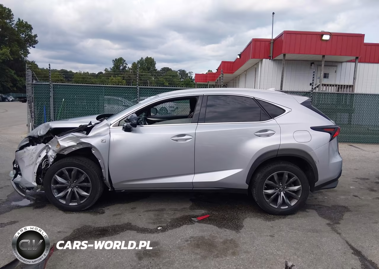 2019 Lexus Nx 300 F Sport VIN:JTJYARBZ3K2131363 - 15