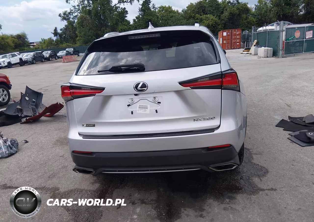 2019 Lexus Nx 300 F Sport VIN:JTJYARBZ3K2131363 - 17