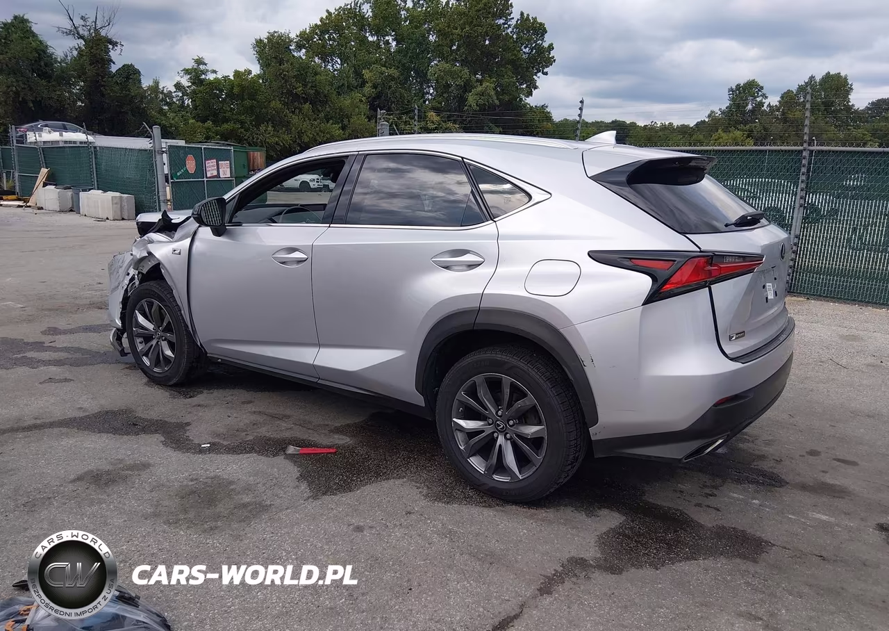 2019 Lexus Nx 300 F Sport VIN:JTJYARBZ3K2131363 - 3