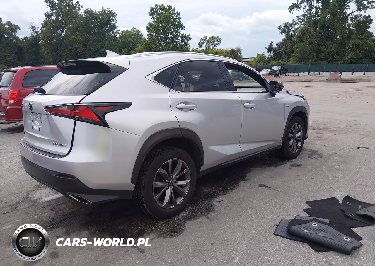 2019 Lexus Nx 300 F Sport VIN:JTJYARBZ3K2131363 - 4