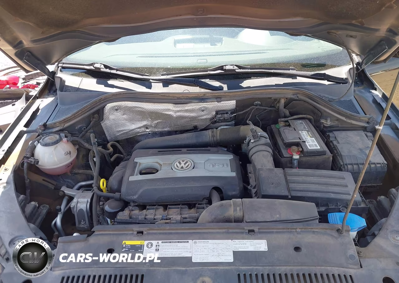 2017 Volkswagen Tiguan 2.0T-2.0T S VIN:WVGAV7AX4HK049613 - 10