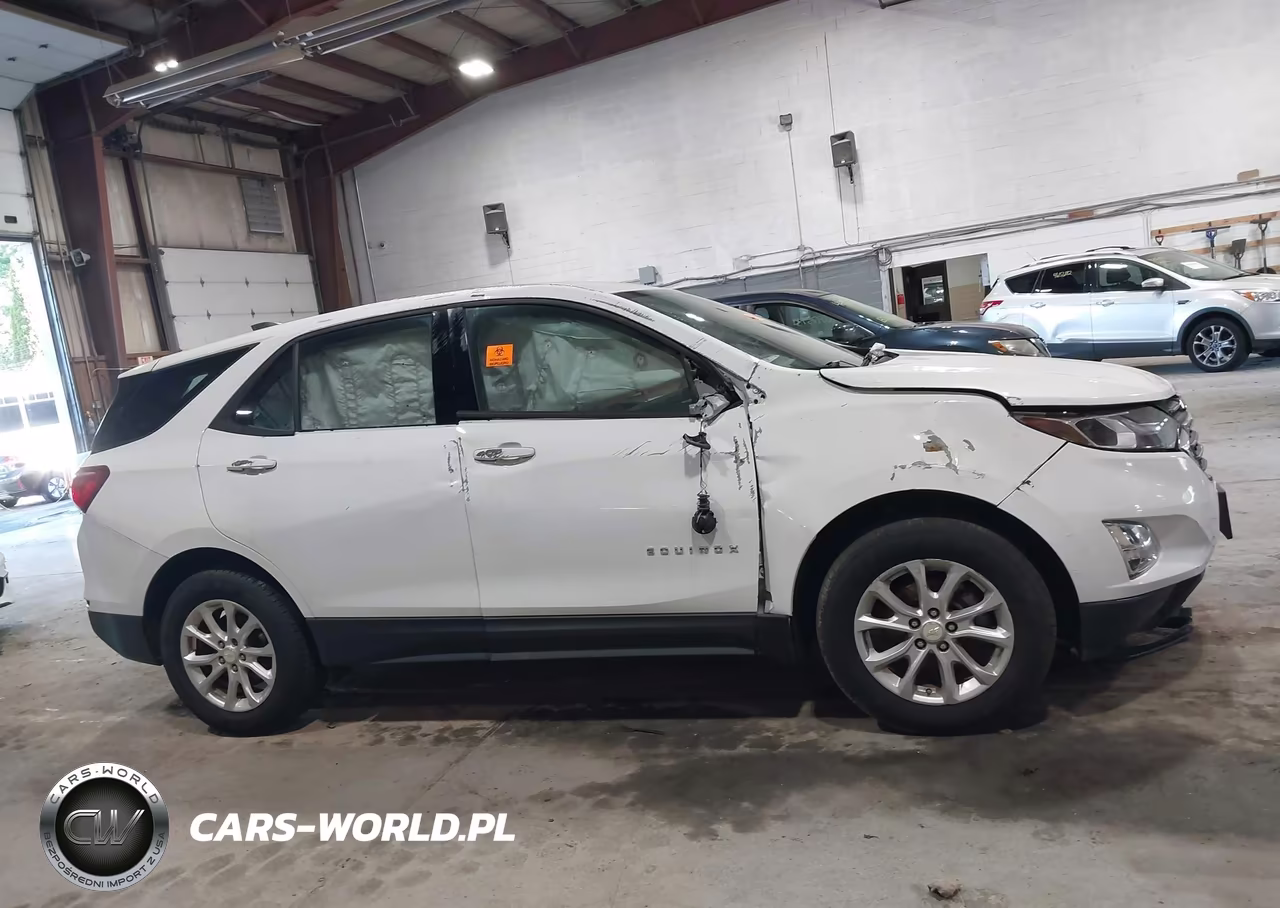 2018 Chevrolet Equinox Ls VIN:3GNAXREV7JL101749 - 13