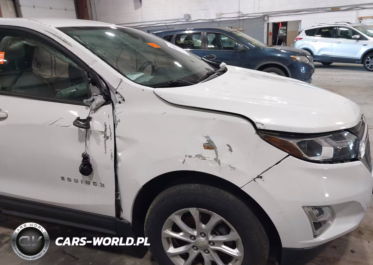 2018 Chevrolet Equinox Ls VIN:3GNAXREV7JL101749 - 19