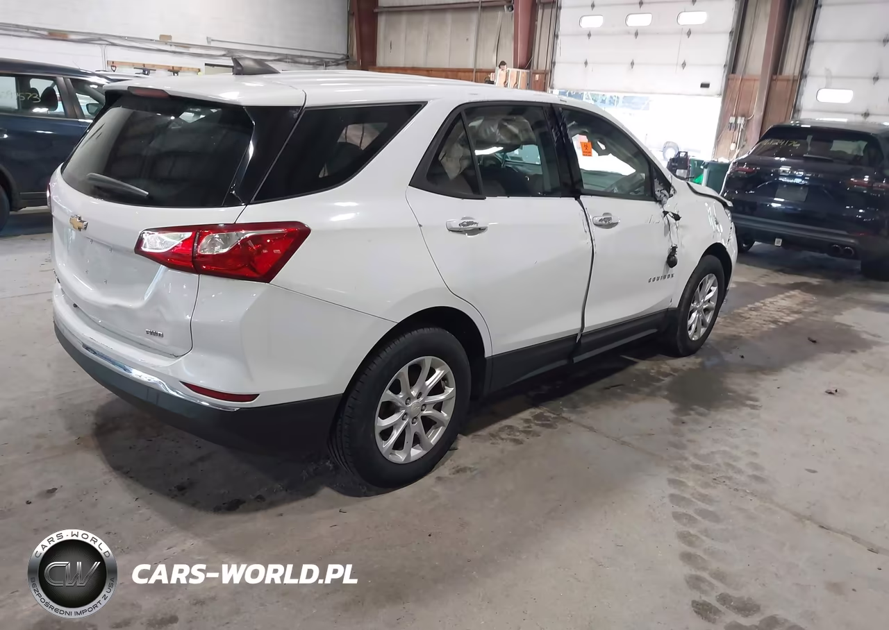 2018 Chevrolet Equinox Ls VIN:3GNAXREV7JL101749 - 4