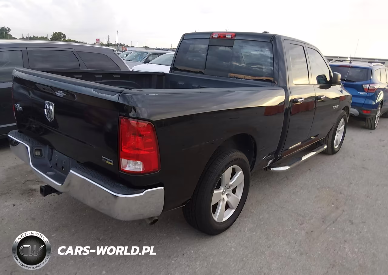 2010 Dodge Ram 1500 Slt-Sport-Trx VIN:1D7RB1GP1AS106382 - 4