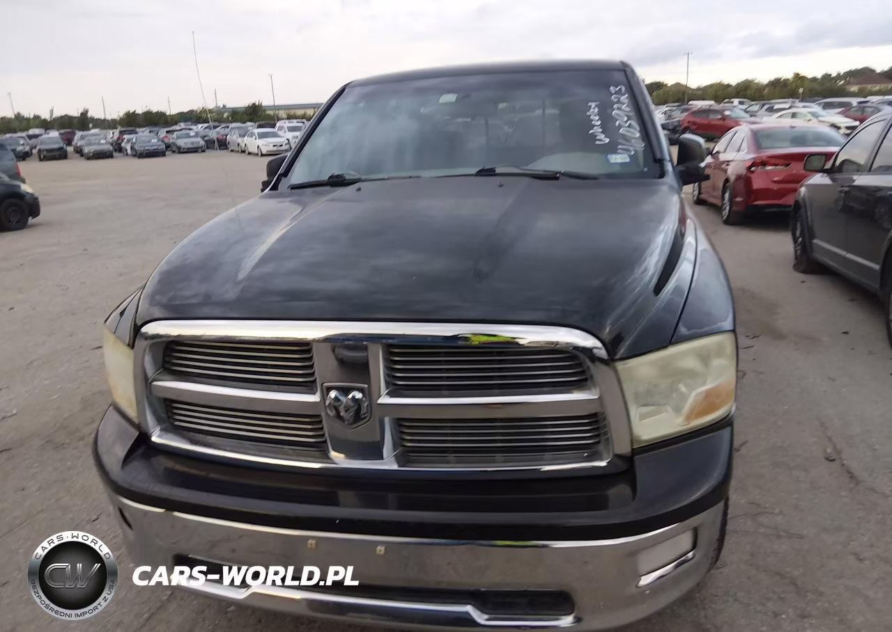 2010 Dodge Ram 1500 Slt-Sport-Trx VIN:1D7RB1GP1AS106382 - 6