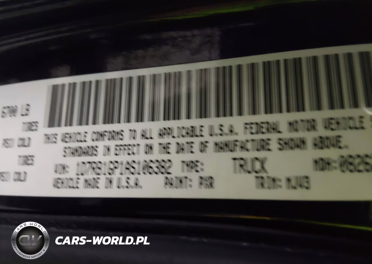 2010 Dodge Ram 1500 Slt-Sport-Trx VIN:1D7RB1GP1AS106382 - 9