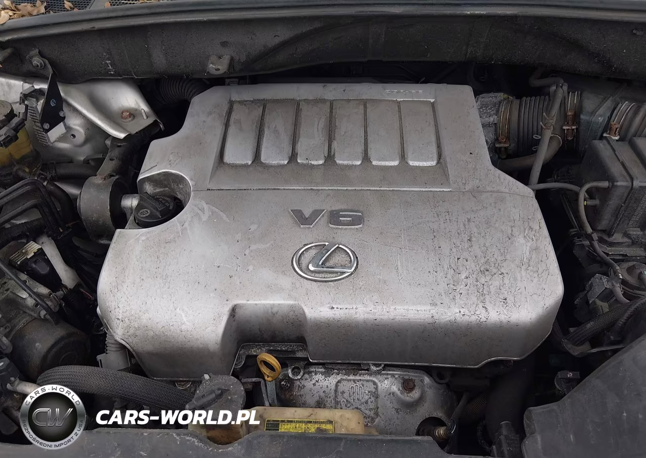 2007 Lexus Rx 350 VIN:2T2HK31U77C039230 - 10