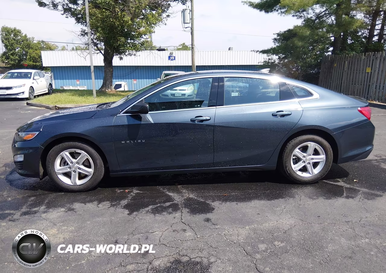 2020 Chevrolet Malibu Fwd 1Fl VIN:1G1ZC5ST6LF150661 - 17