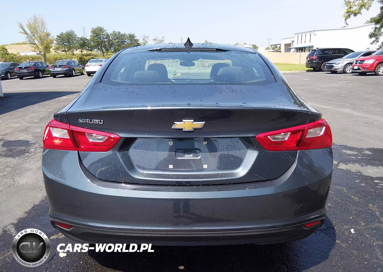 2020 Chevrolet Malibu Fwd 1Fl VIN:1G1ZC5ST6LF150661 - 19