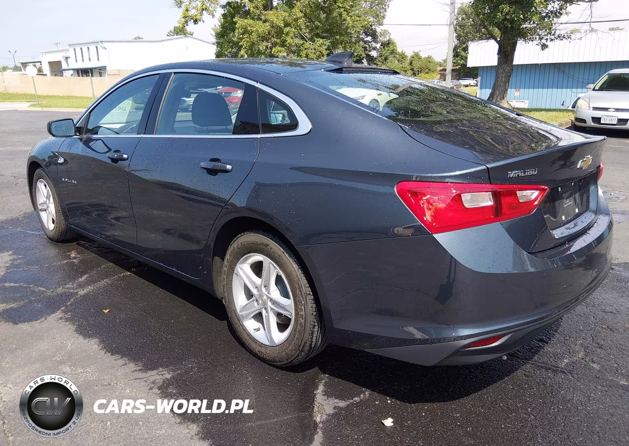 2020 Chevrolet Malibu Fwd 1Fl VIN:1G1ZC5ST6LF150661 - 3