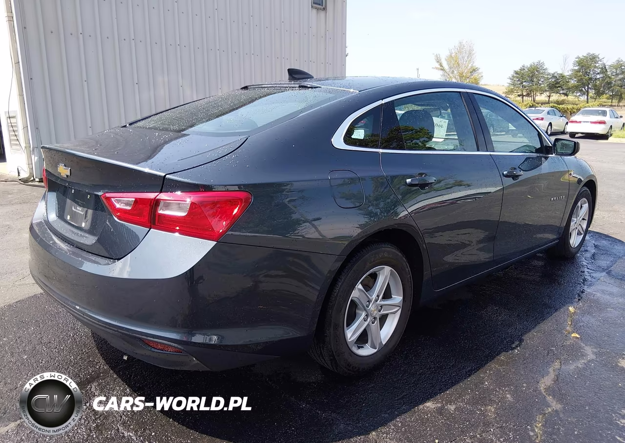 2020 Chevrolet Malibu Fwd 1Fl VIN:1G1ZC5ST6LF150661 - 4