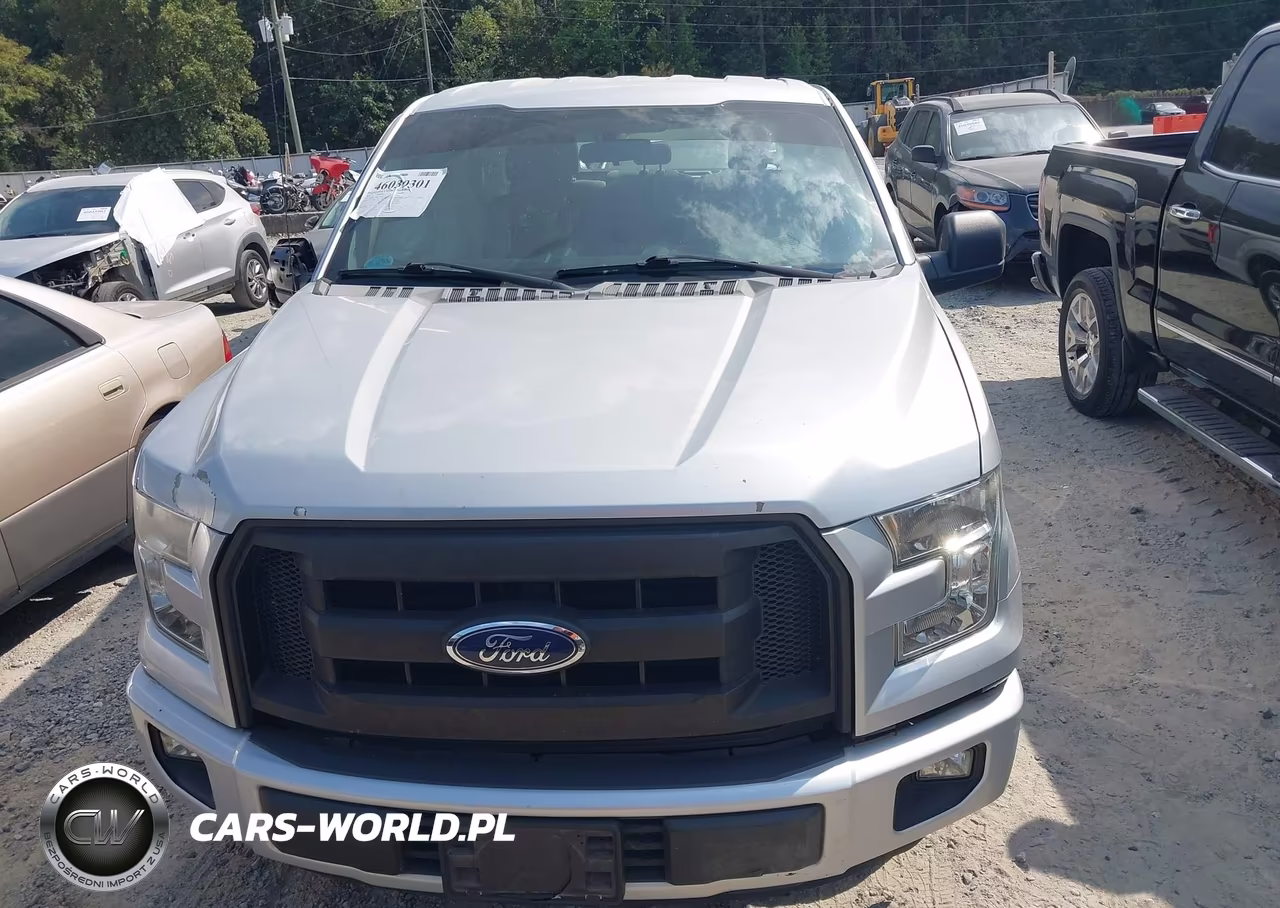 2016 Ford F-150 Xl VIN:1FTEW1C85GFC60817 - 11