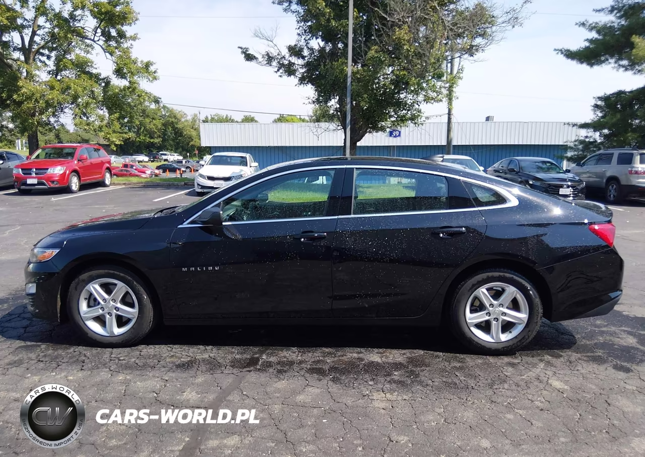 2020 Chevrolet Malibu Fwd 1Fl VIN:1G1ZC5ST2LF150527 - 17