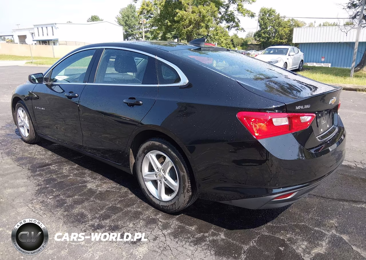 2020 Chevrolet Malibu Fwd 1Fl VIN:1G1ZC5ST2LF150527 - 3