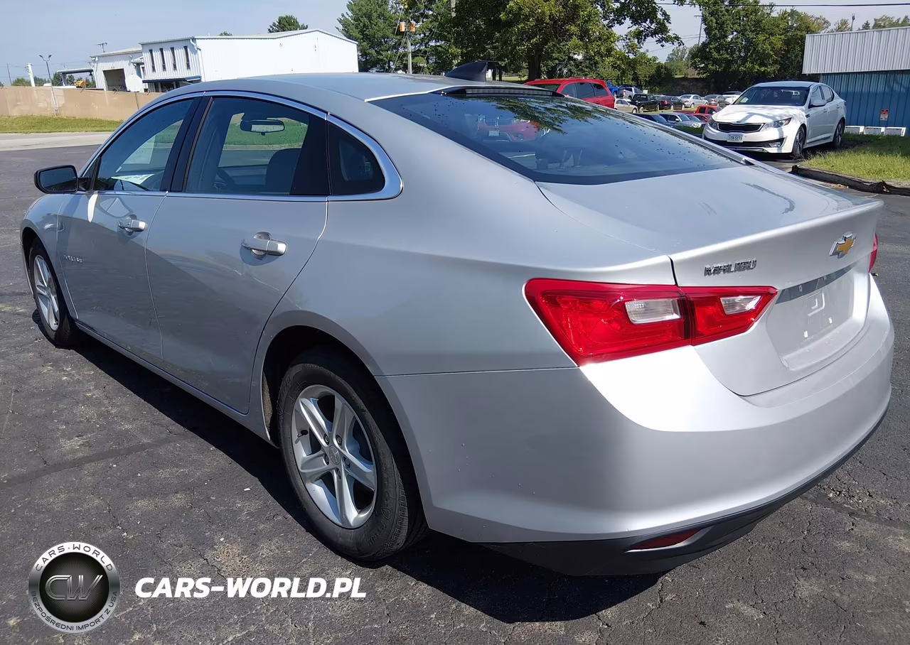 2020 Chevrolet Malibu Fwd 1Fl VIN:1G1ZC5ST2LF099174 - 3