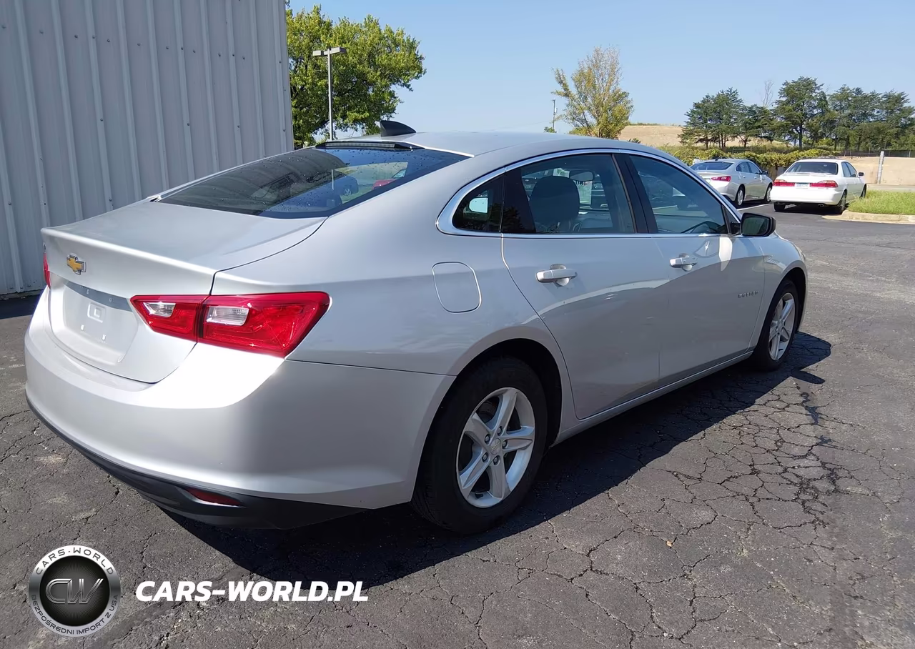 2020 Chevrolet Malibu Fwd 1Fl VIN:1G1ZC5ST2LF099174 - 4