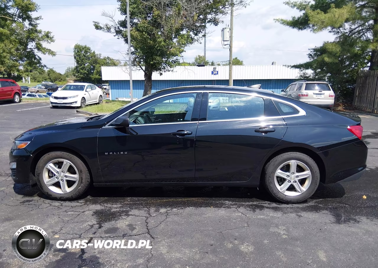 2020 Chevrolet Malibu Fwd 1Fl VIN:1G1ZC5ST6LF150501 - 18