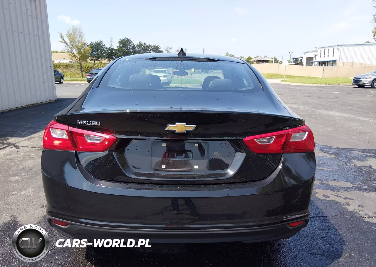 2020 Chevrolet Malibu Fwd 1Fl VIN:1G1ZC5ST6LF150501 - 20