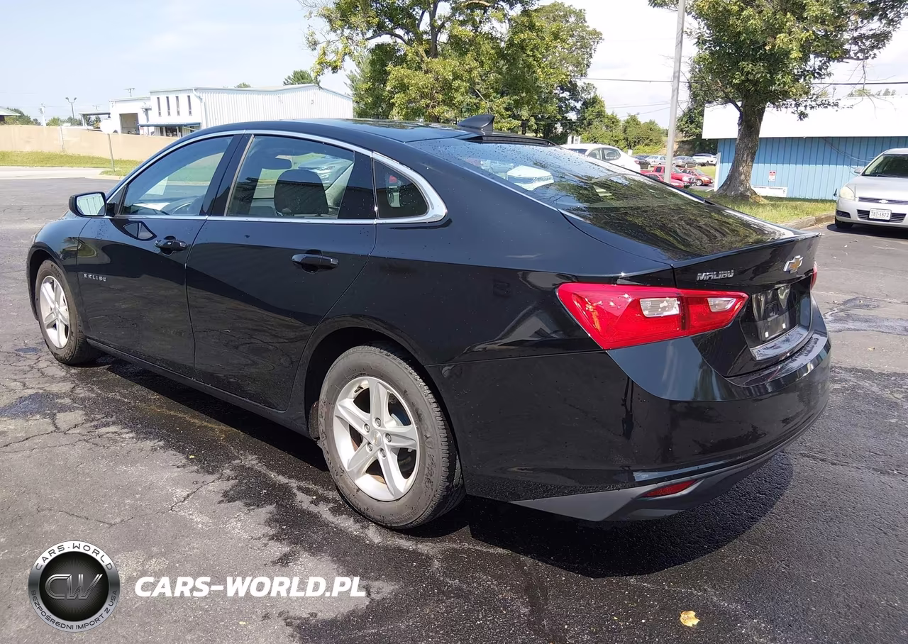 2020 Chevrolet Malibu Fwd 1Fl VIN:1G1ZC5ST6LF150501 - 3