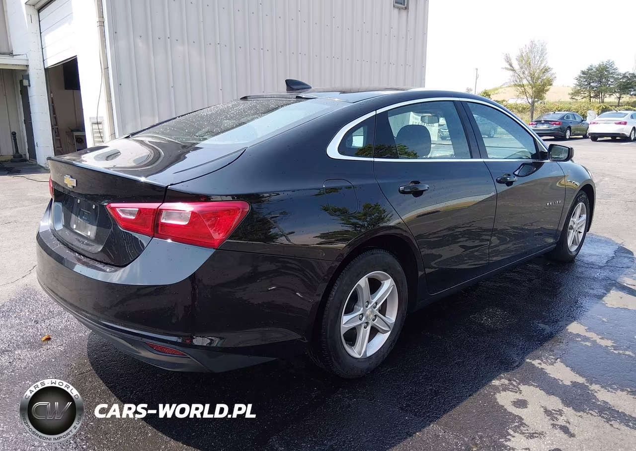 2020 Chevrolet Malibu Fwd 1Fl VIN:1G1ZC5ST6LF150501 - 4