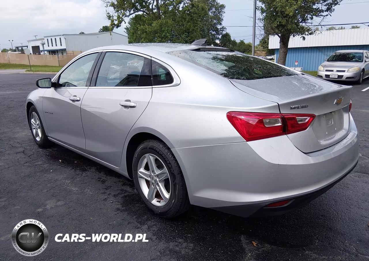 2020 Chevrolet Malibu Fwd 1Fl VIN:1G1ZC5ST0LF150316 - 3