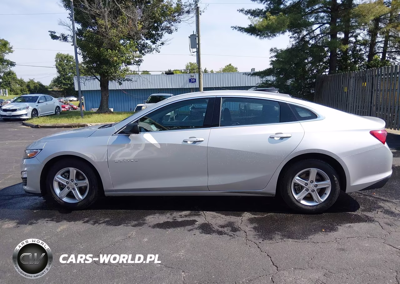 2020 Chevrolet Malibu Fwd 1Fl VIN:1G1ZC5ST4LF150271 - 18