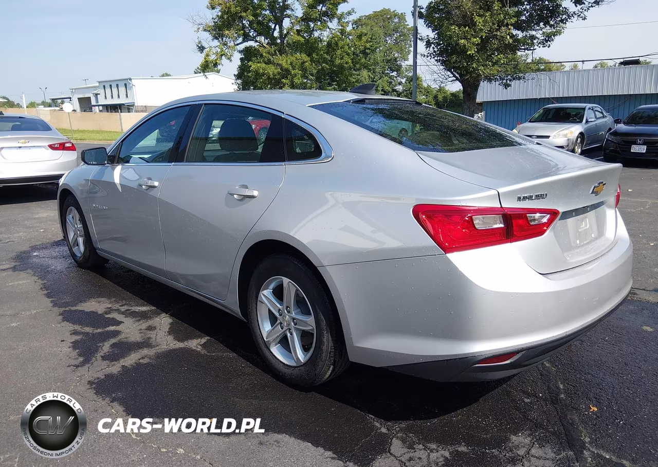 2020 Chevrolet Malibu Fwd 1Fl VIN:1G1ZC5ST4LF150271 - 3