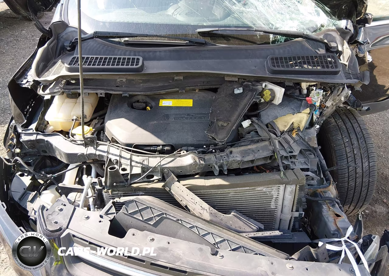 2016 Ford Escape Se VIN:1FMCU0GX3GUB04890 - 10