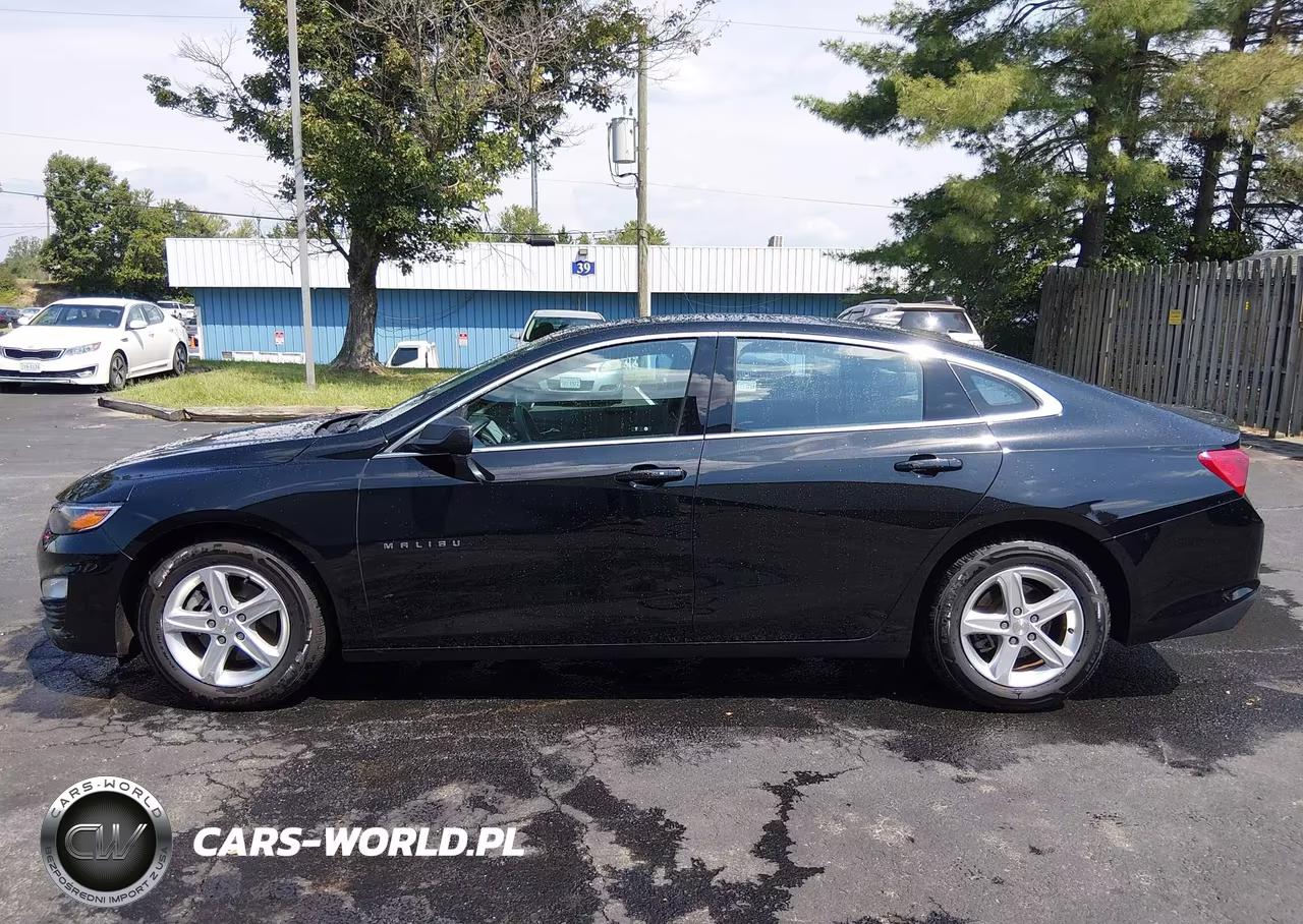 2020 Chevrolet Malibu Fwd 1Fl VIN:1G1ZC5ST2LF150611 - 18