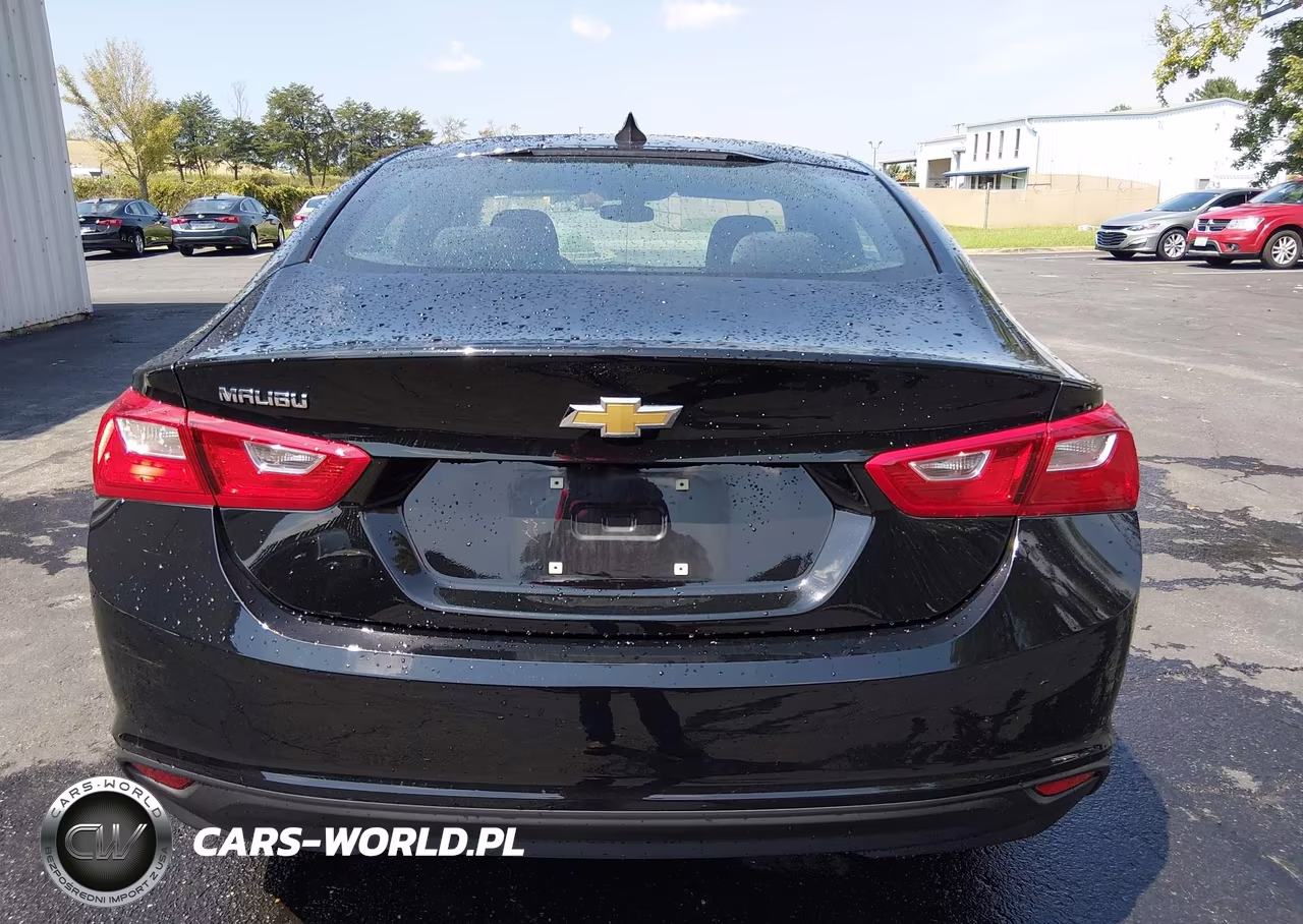 2020 Chevrolet Malibu Fwd 1Fl VIN:1G1ZC5ST2LF150611 - 20
