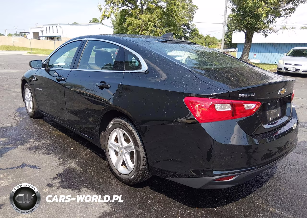 2020 Chevrolet Malibu Fwd 1Fl VIN:1G1ZC5ST2LF150611 - 3
