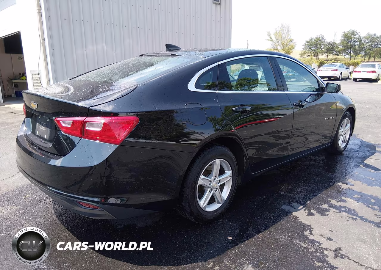 2020 Chevrolet Malibu Fwd 1Fl VIN:1G1ZC5ST2LF150611 - 4