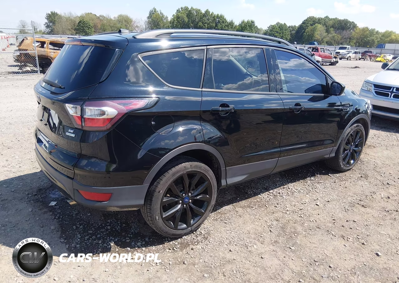 2017 Ford Escape Se VIN:1FMCU0G91HUE30044 - 4