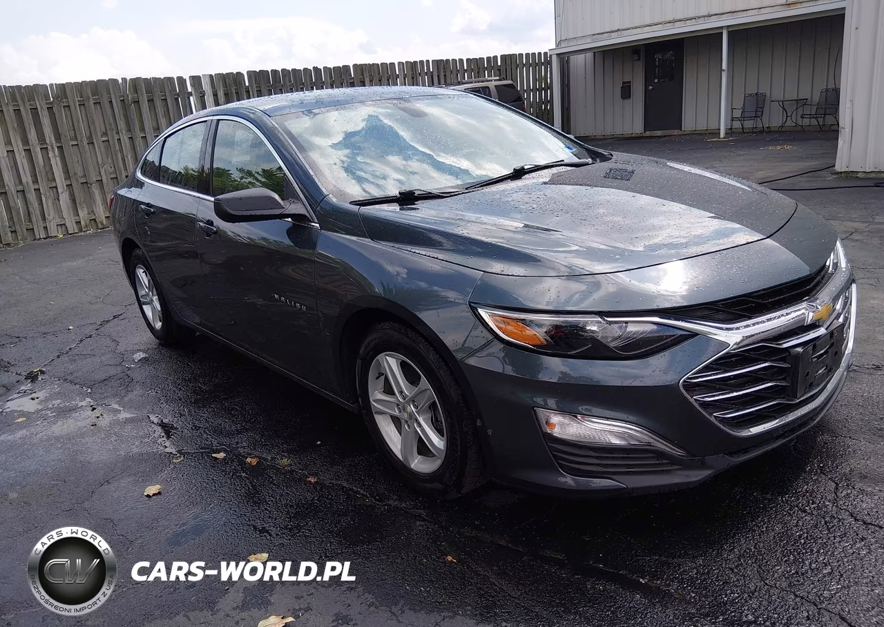 2020 Chevrolet Malibu Fwd 1Fl VIN:1G1ZC5ST1LF150972 - 1