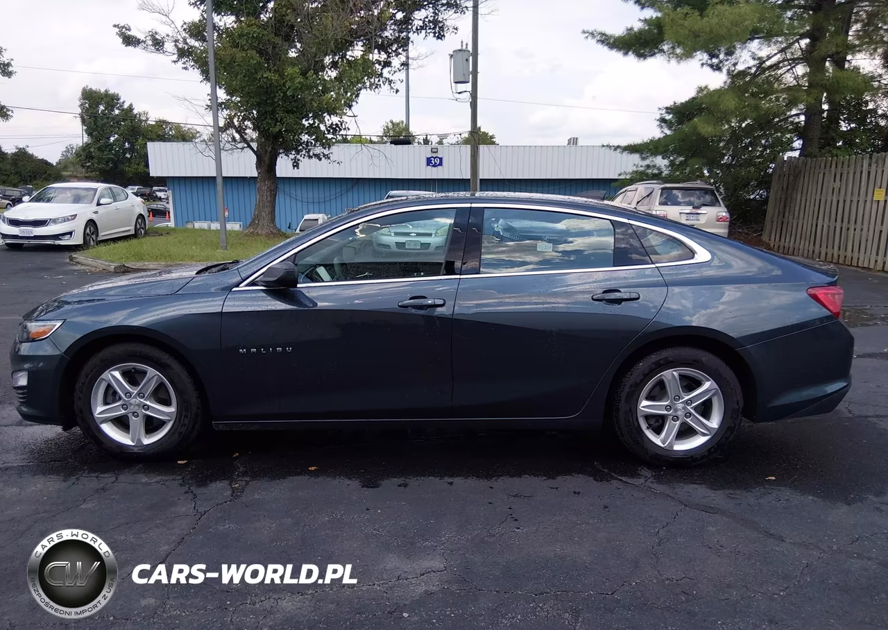 2020 Chevrolet Malibu Fwd 1Fl VIN:1G1ZC5ST1LF150972 - 17