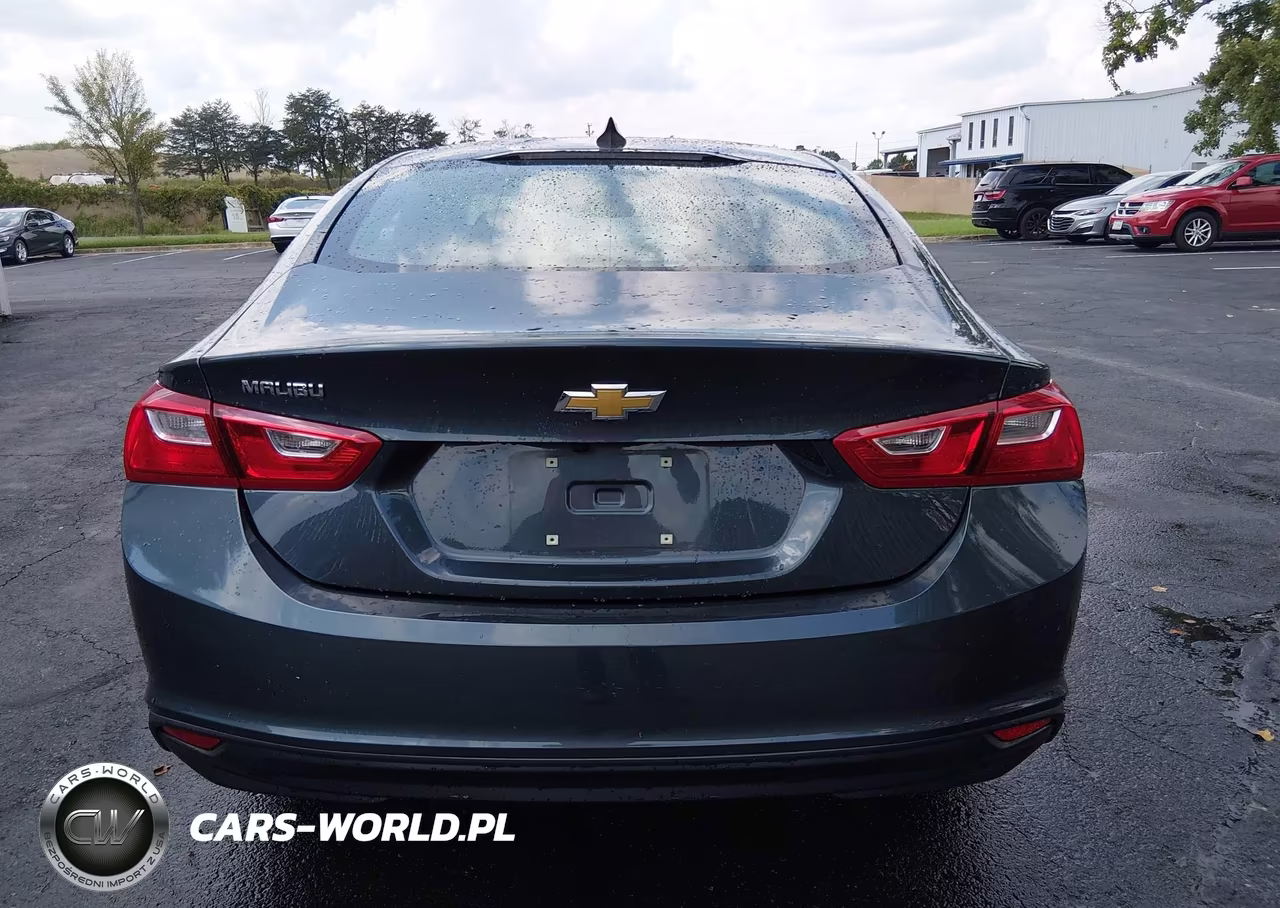 2020 Chevrolet Malibu Fwd 1Fl VIN:1G1ZC5ST1LF150972 - 19