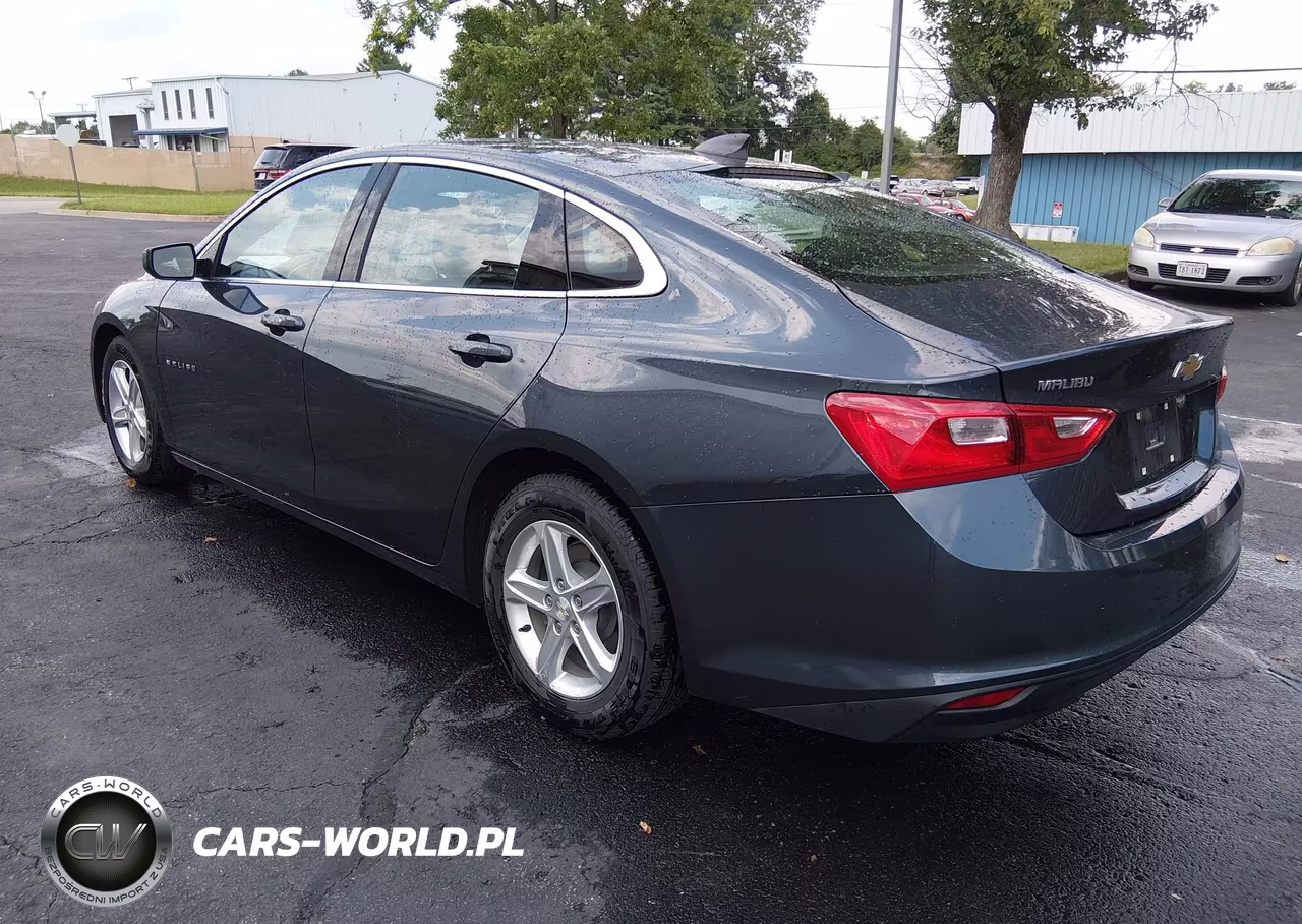 2020 Chevrolet Malibu Fwd 1Fl VIN:1G1ZC5ST1LF150972 - 3